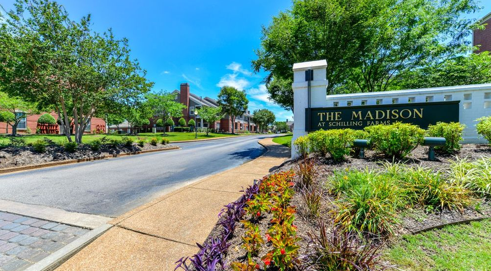 0 Apartments for Rent at Madison at Schilling Farms in Memphis, TN